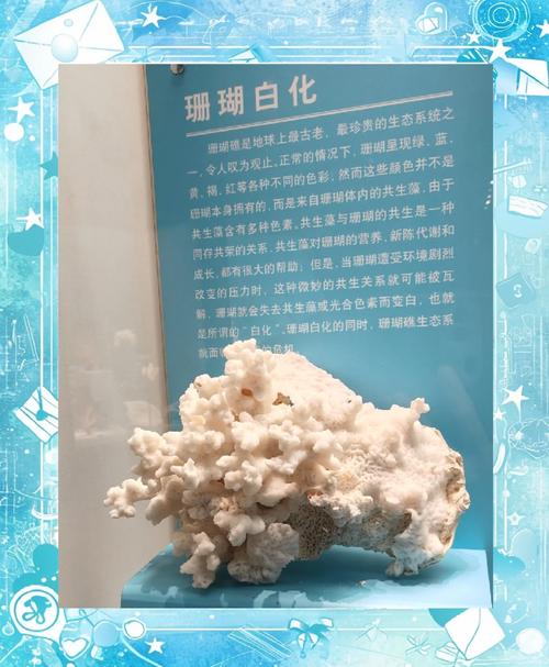 admin 第126页