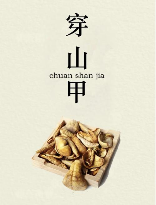 解决方案 第14页
