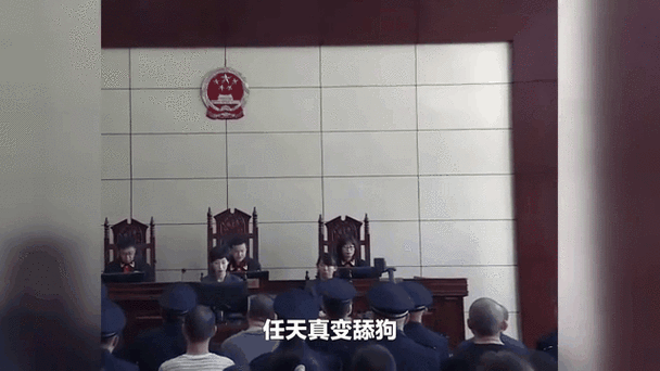 女孩被爹连累欠百万,女子欠下上百万
